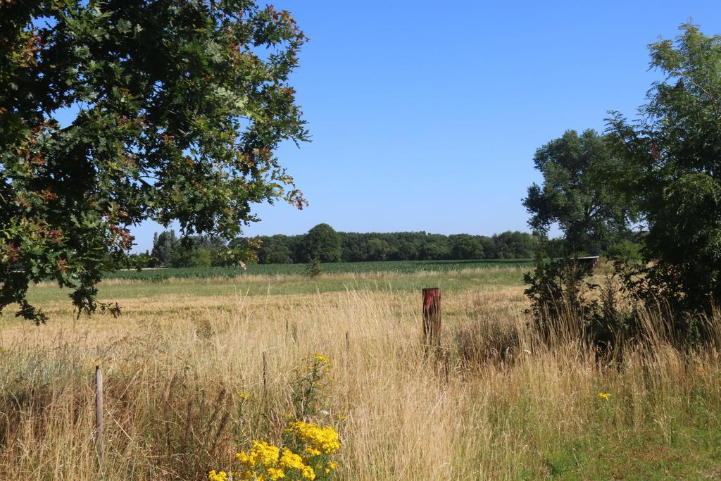 Gastenlogies Blauwe Schaap Ranst Buitenkant foto